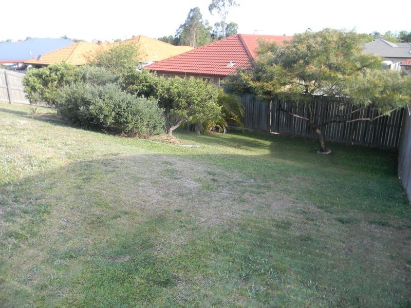63 Glentree Avenue, Upper Coomera QLD 4209