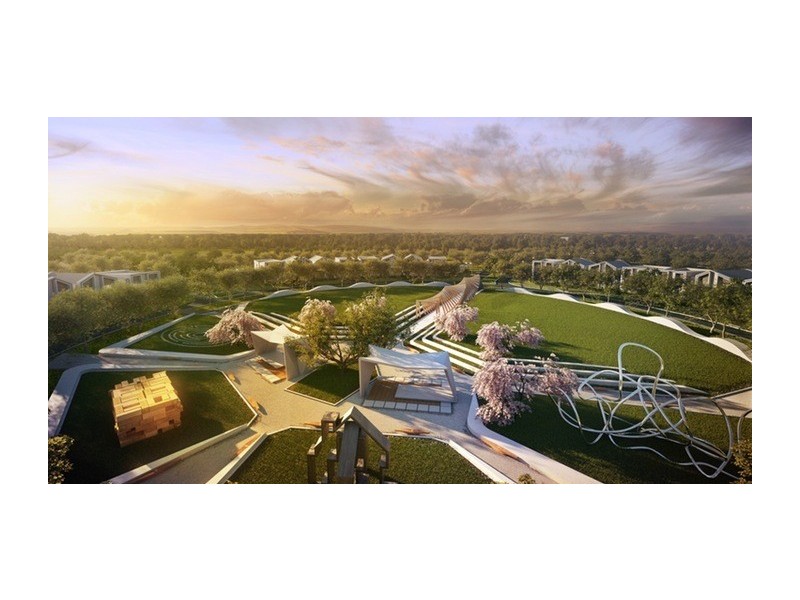 11 Hill Drive, Pimpama QLD 4209