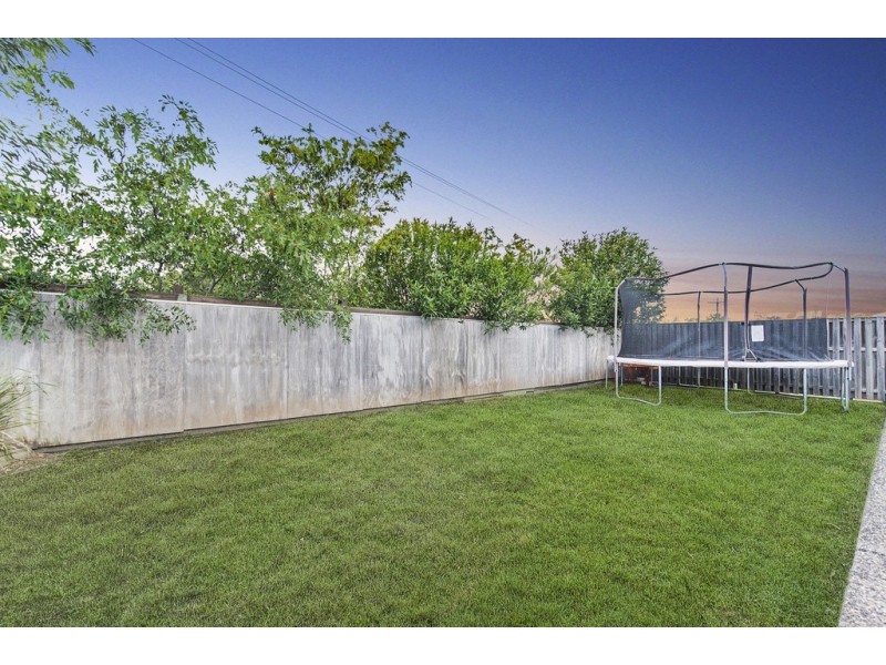 58 Wildflower Circuit, Upper Coomera QLD 4209