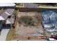 28 Anula Crescent, Upper Coomera QLD 4209