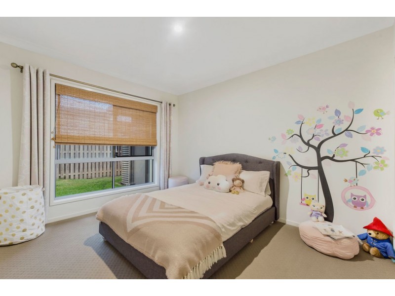 11 Macleay Circuit, Upper Coomera QLD 4209