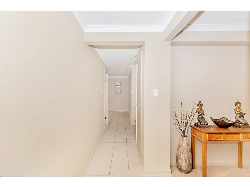 21 Seagreen Drive, Coomera QLD 4209