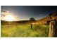 67 Upper Ormeau Road, Kingsholme QLD 4208