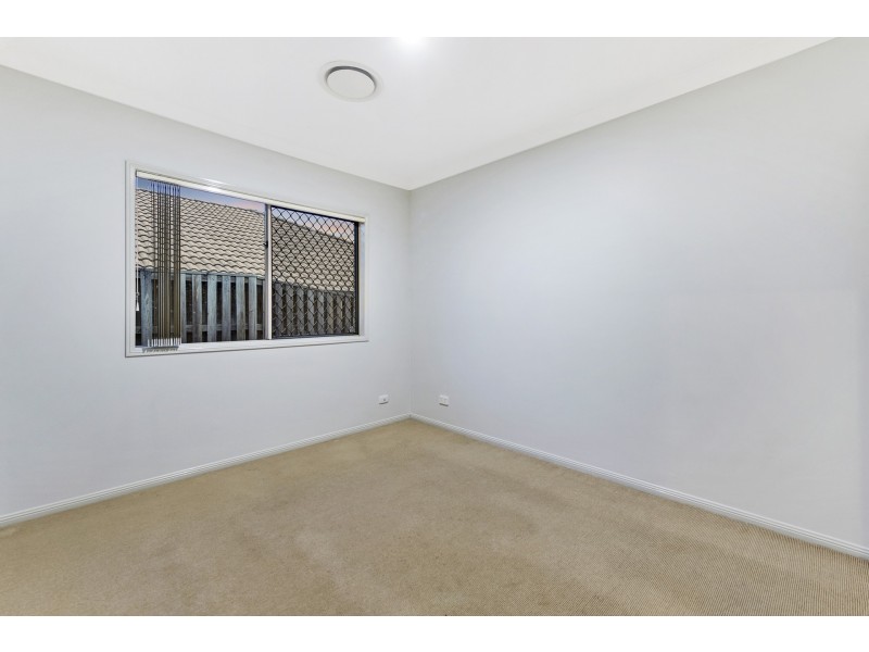 8 Starush Court, Upper Coomera QLD 4209