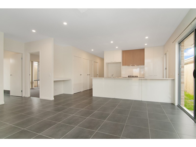 55 Apple Berry Avenue, Coomera QLD 4209