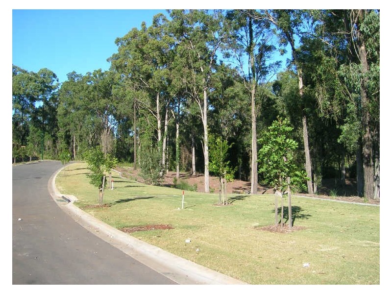 15 Nandroya Drive, Upper Coomera QLD 4209