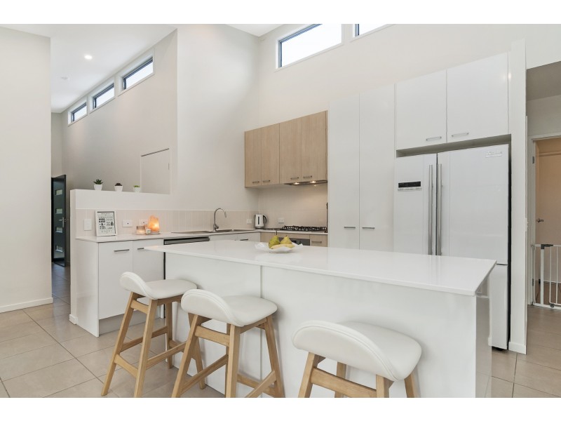 21 Red Gum Terrace, Coomera QLD 4209