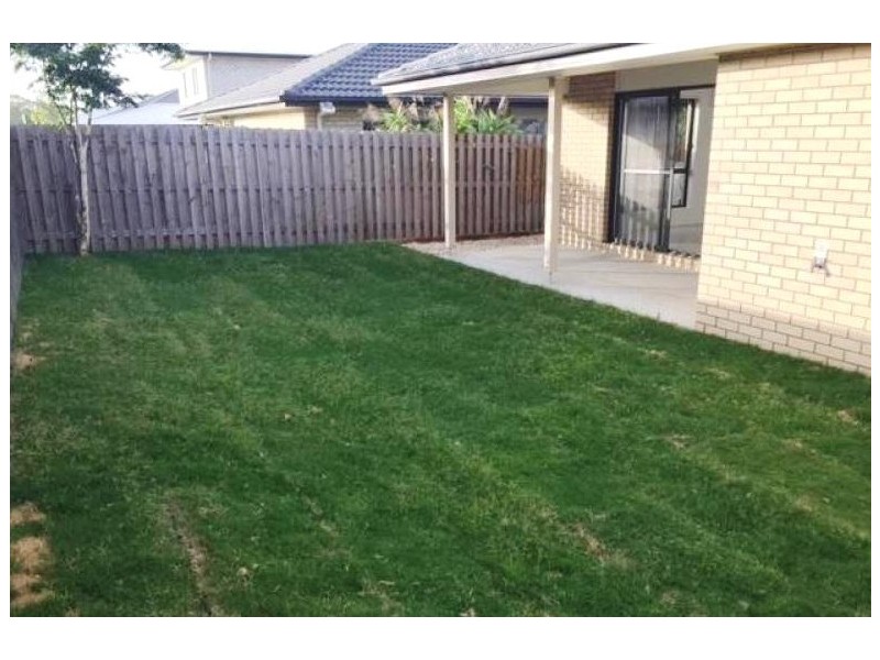 38 William Boulevard, Pimpama QLD 4209