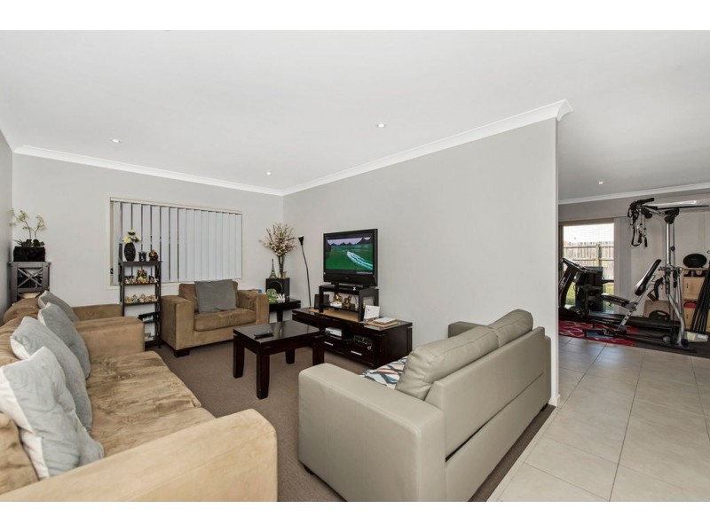 14 Cassia Drive, Coomera QLD 4209