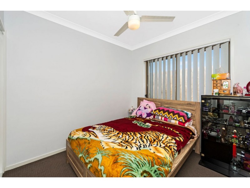 14 Cassia Drive, Coomera QLD 4209