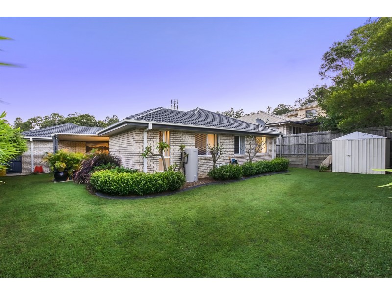 19 Redstart Street, Upper Coomera QLD 4209