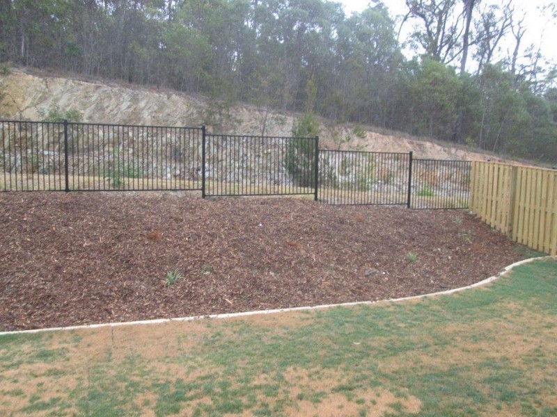 16 Gannet Place, Upper Coomera QLD 4209