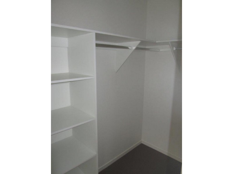 16 Gannet Place, Upper Coomera QLD 4209