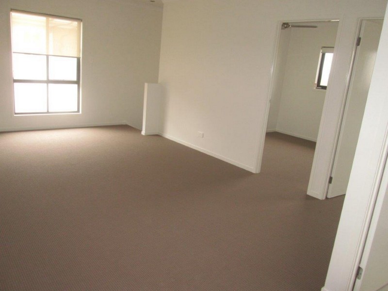 16 Gannet Place, Upper Coomera QLD 4209