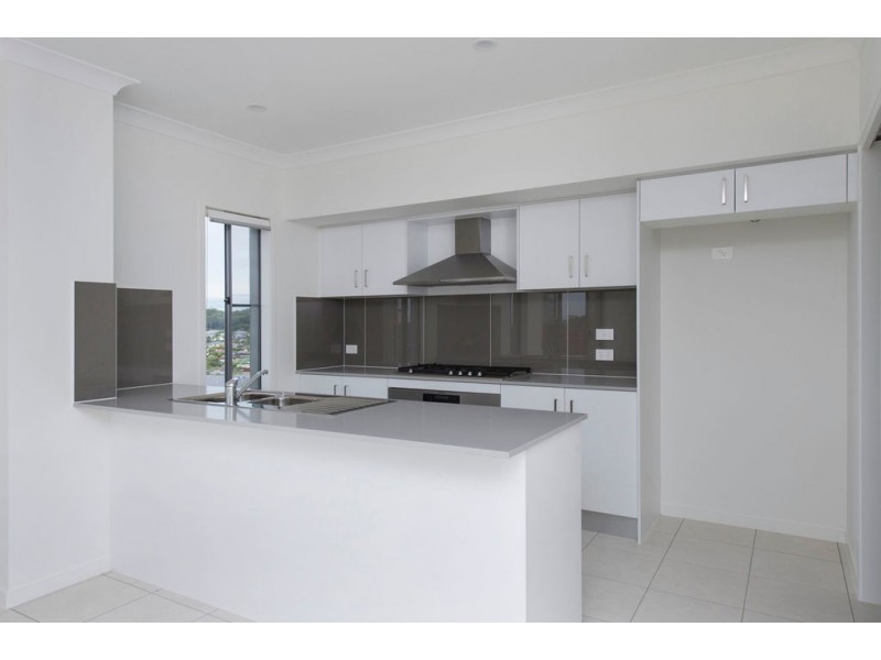 24 Stonecurlew Street, Upper Coomera QLD 4209