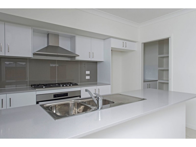 24 Stonecurlew Street, Upper Coomera QLD 4209