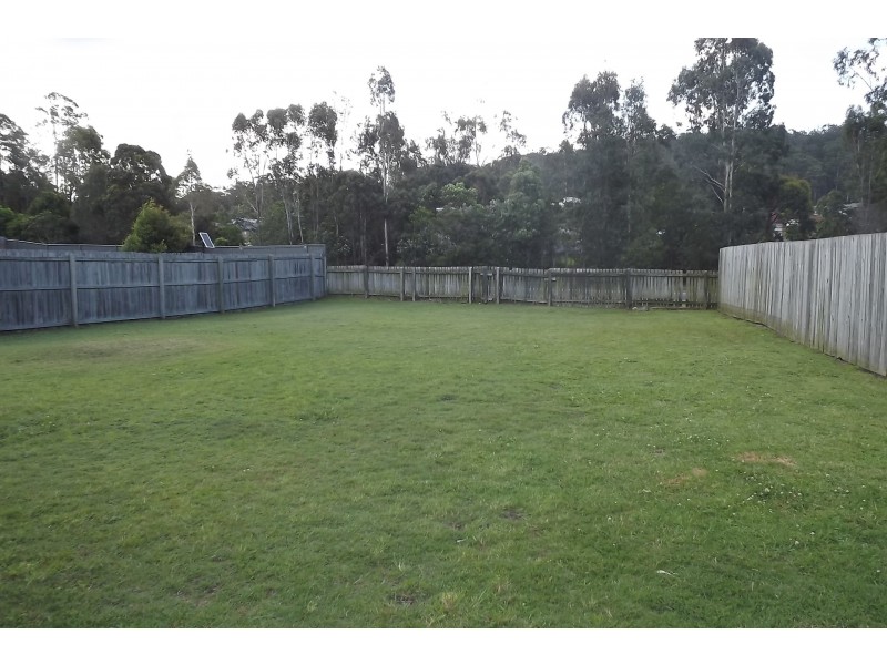 43 Nicola Way, Upper Coomera QLD 4209