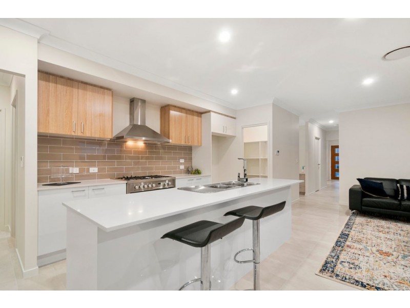 4 Alva Court, Oxenford QLD 4210