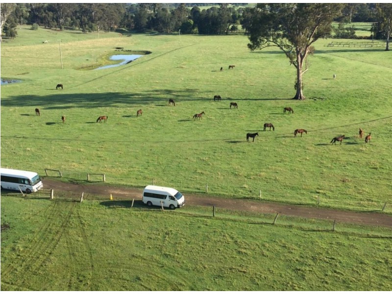 400 Biddaddaba Creek Road, Biddaddaba QLD 4275