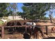 400 Biddaddaba Creek Road, Biddaddaba QLD 4275