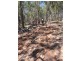 400 Biddaddaba Creek Road, Biddaddaba QLD 4275