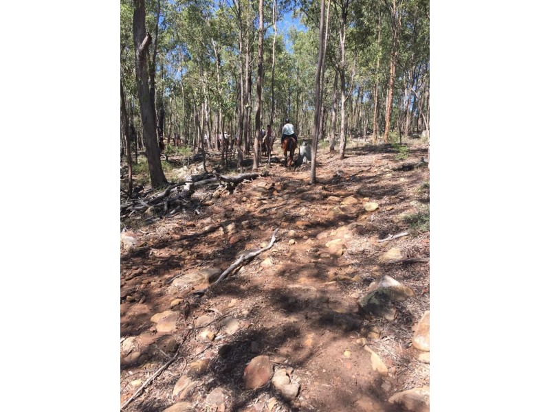 400 Biddaddaba Creek Road, Biddaddaba QLD 4275