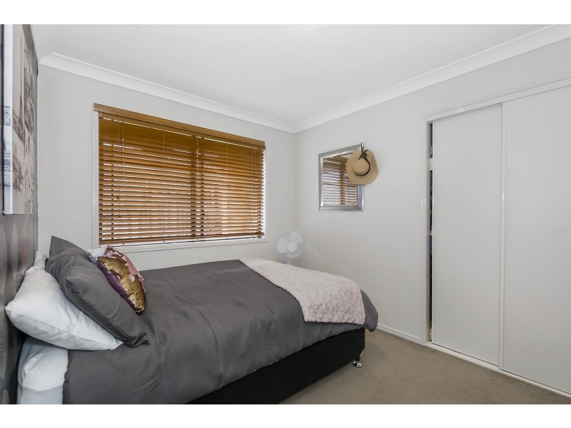 16 Prefect Close, Upper Coomera QLD 4209