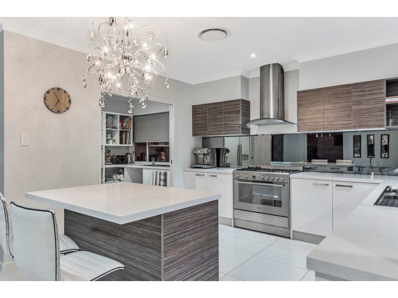 3 Wolseley Way, Upper Coomera QLD 4209