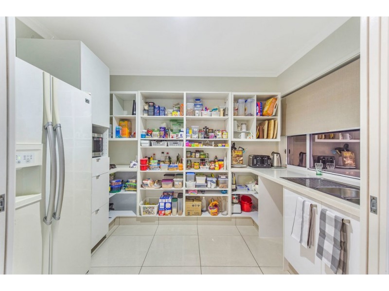 3 Wolseley Way, Upper Coomera QLD 4209