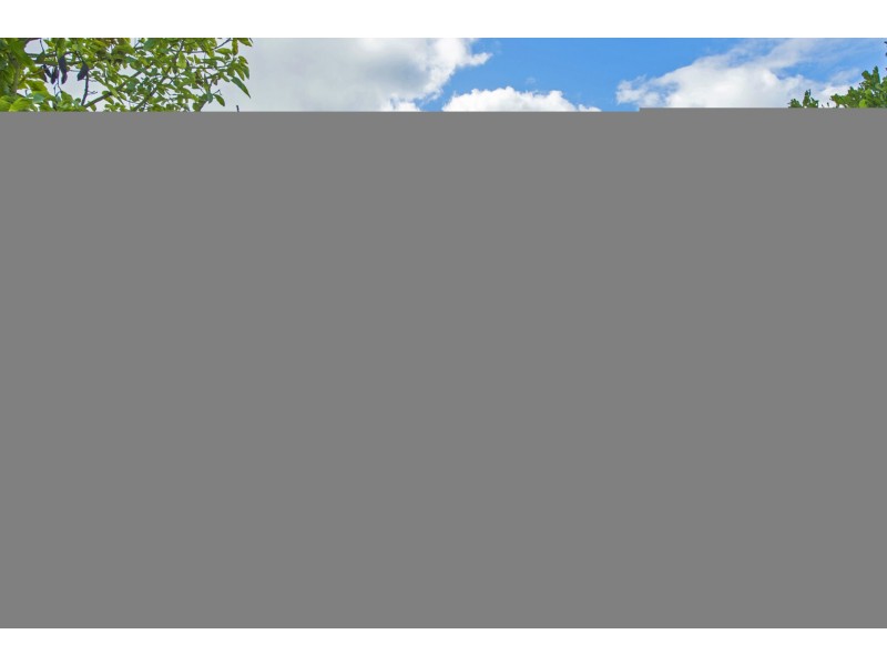 1/25 Dahlia Crescent, Ormeau QLD 4208