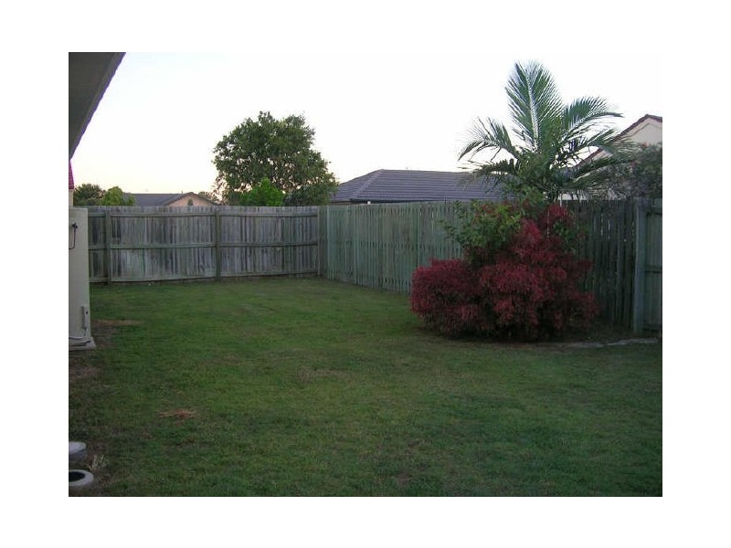 31 Fawn Street, Upper Coomera QLD 4209