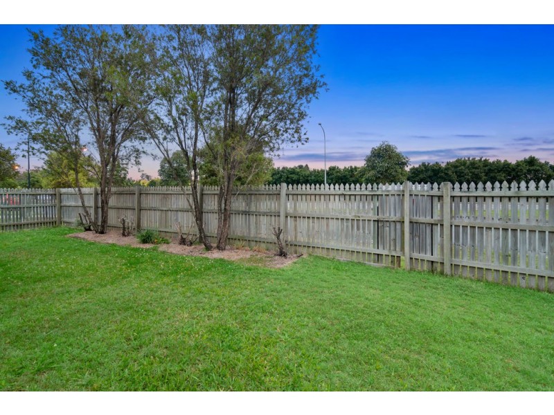 14 Kingsford Drive, Upper Coomera QLD 4209