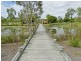 29 Chinaberry Crescent, Upper Coomera QLD 4209