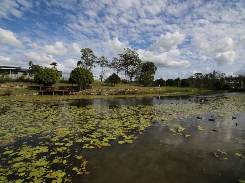 29 Chinaberry Crescent, Upper Coomera QLD 4209