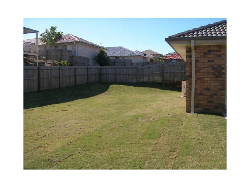64 Freestone Drive, Upper Coomera QLD 4209