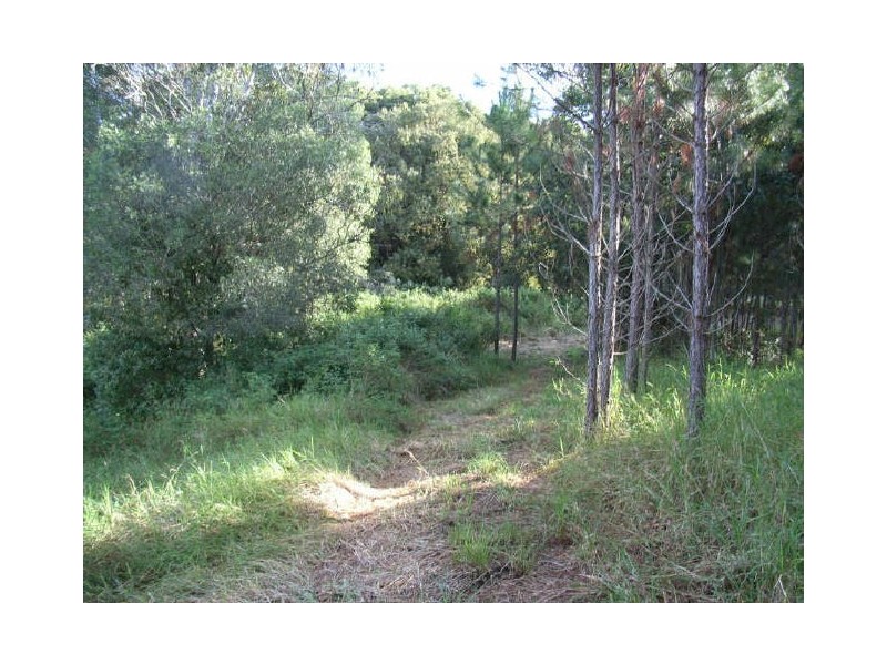 1 Pinewood Street, Upper Coomera QLD 4209