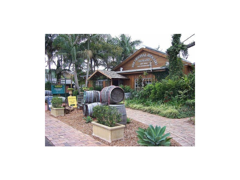 1 Pinewood Street, Upper Coomera QLD 4209