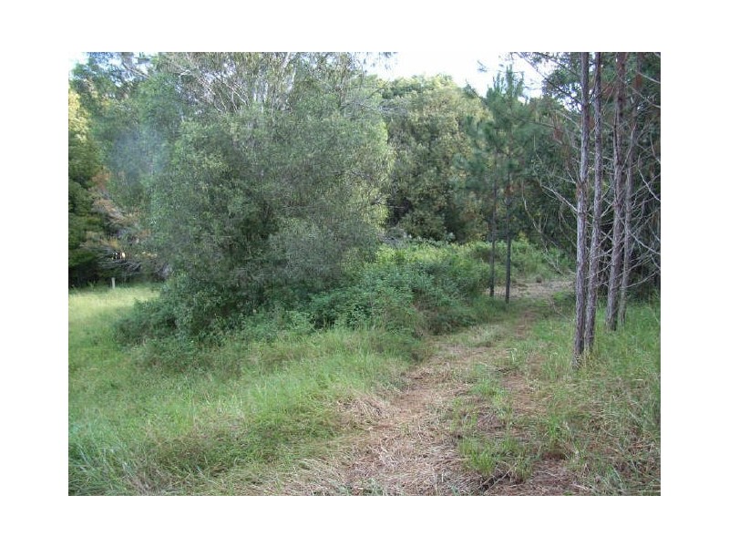 1 Pinewood Street, Upper Coomera QLD 4209