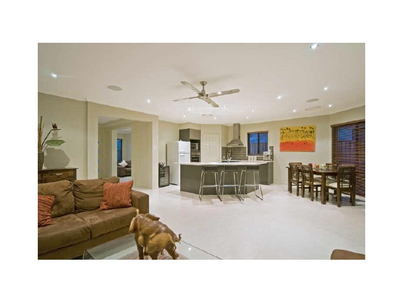 20 Dayflower Street, Upper Coomera QLD 4209