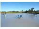 4 Meroo Place, Upper Coomera QLD 4209