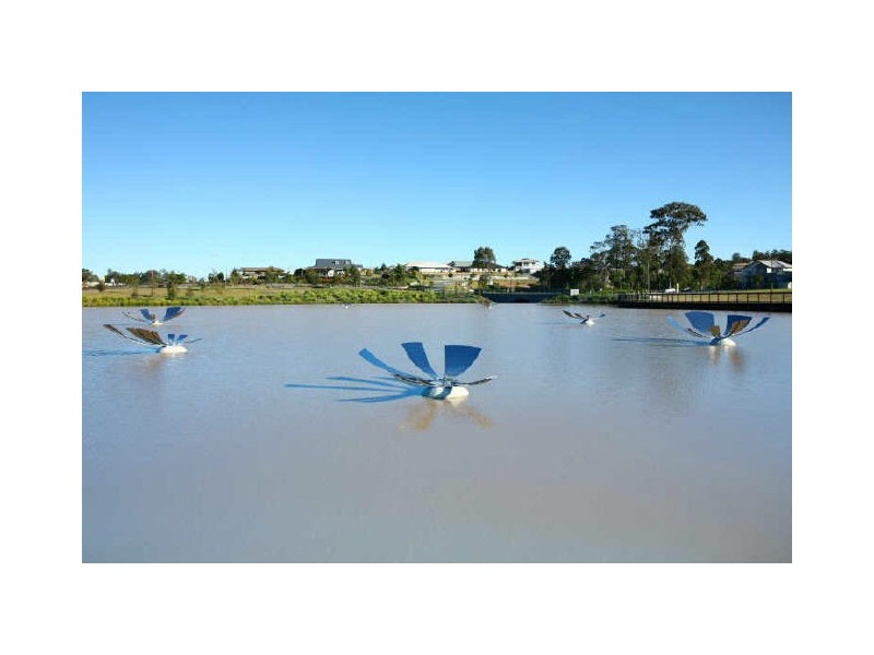 4 Meroo Place, Upper Coomera QLD 4209