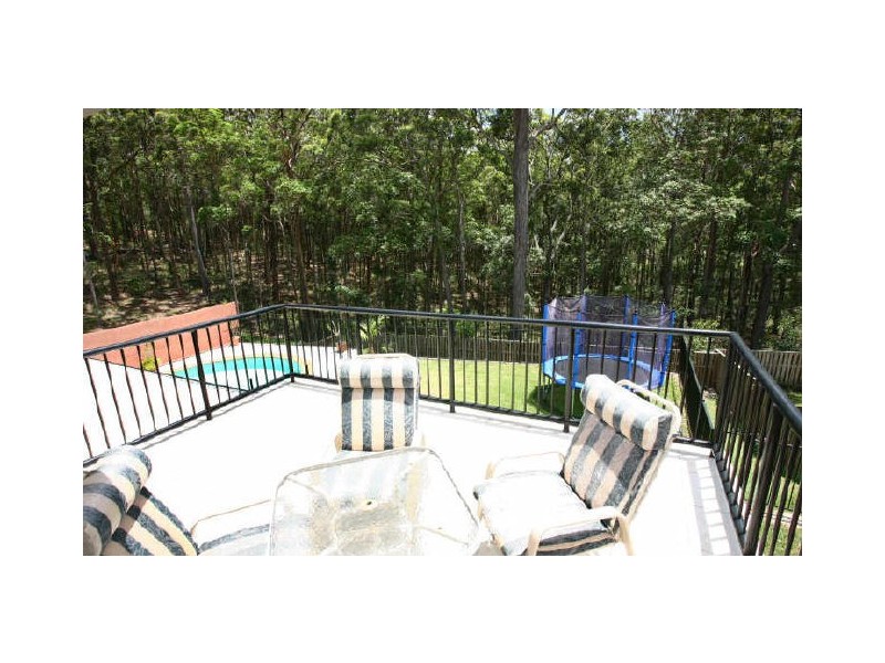 17 Cashew Court, Upper Coomera QLD 4209