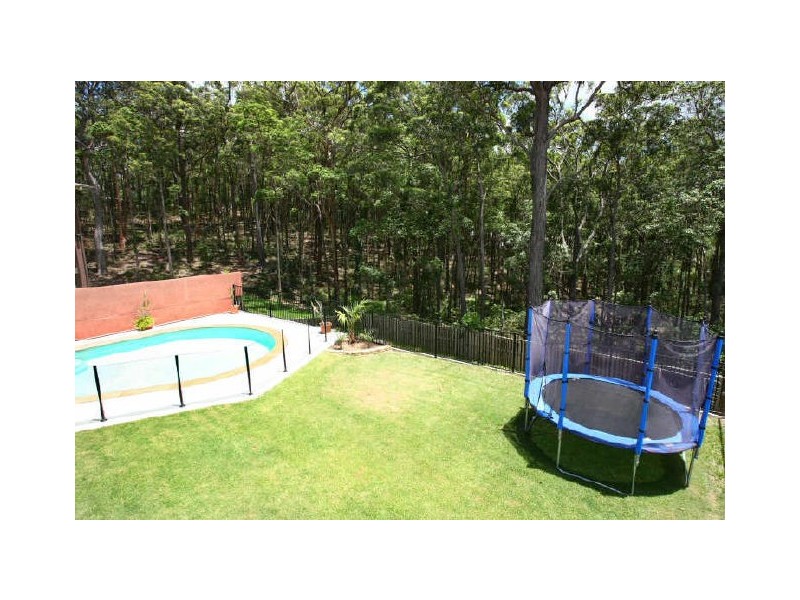 17 Cashew Court, Upper Coomera QLD 4209