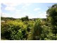 29 Stanfield Drive, Upper Coomera QLD 4209