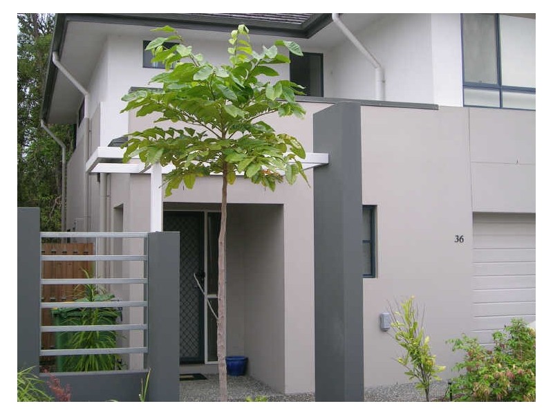 36/1 Jefferson Court, Upper Coomera QLD 4209