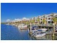 33 Solo Place, Coomera QLD 4209