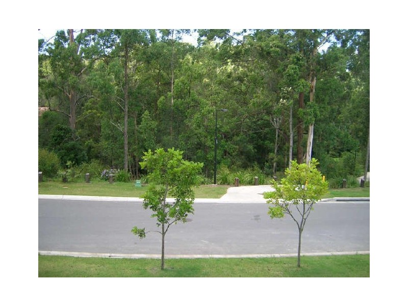 98 Treeline Circuit, Upper Coomera QLD 4209