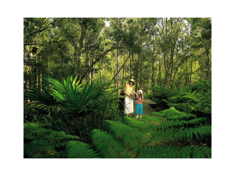 1 Pendragon Drive, Coomera Waters QLD 4209