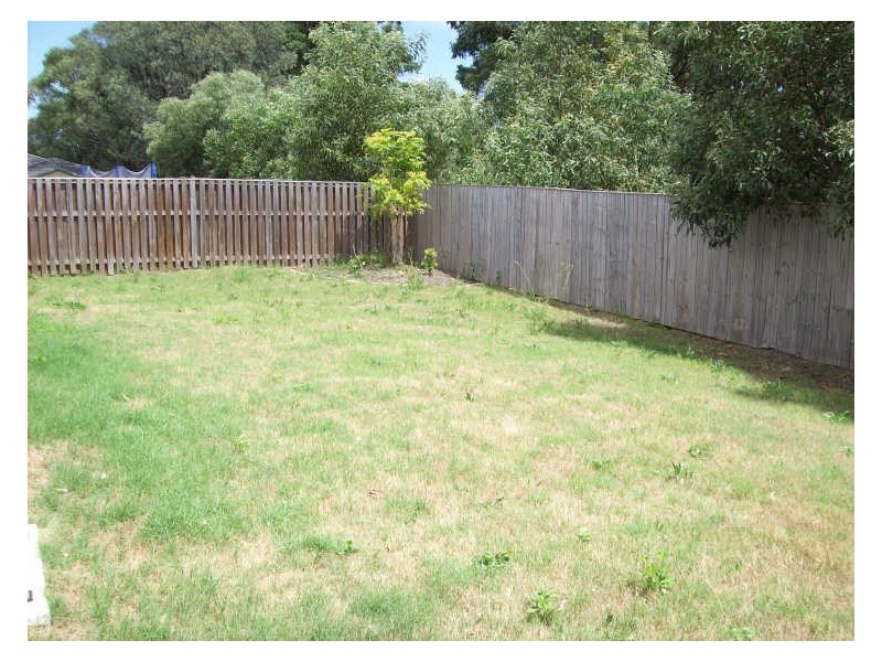 4 Stacer Street, Upper Coomera QLD 4209