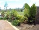 58 Treeline Circuit, Upper Coomera QLD 4209